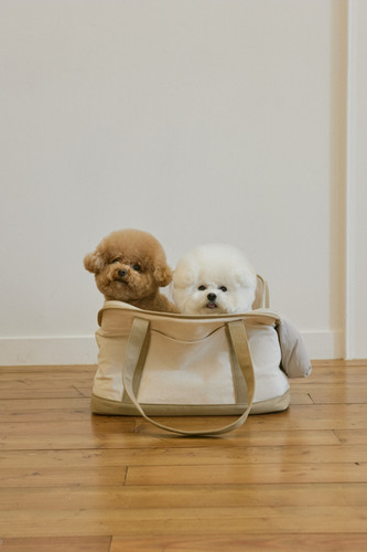 CANVAS CARRY BAG BAIGE size M | small stuff jp
