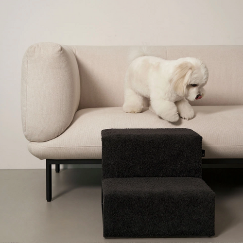 DIG STEP BOUCLE BLACK | small stuff jp