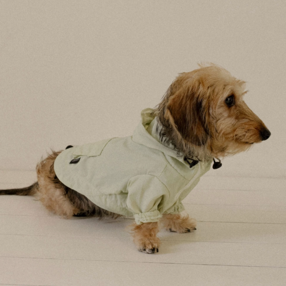 HOODED ANORAK MELON