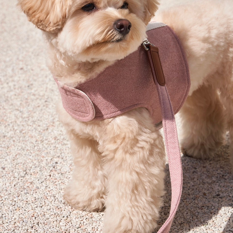 CLASSIC LEASH PALE PINK