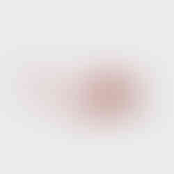 CLASSIC LEASH PALE PINK