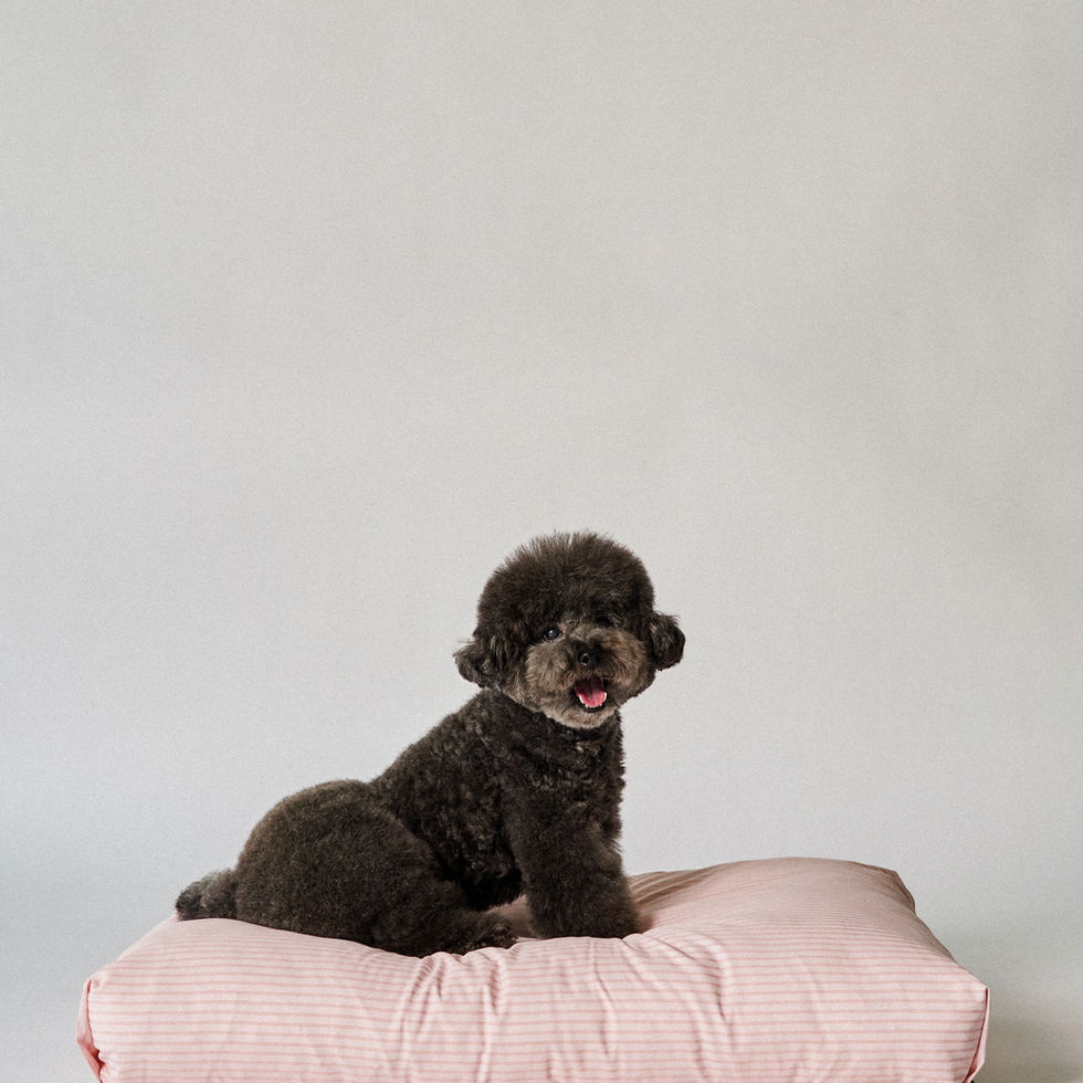 REST BED