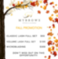 MYBROWS FALL PROMO 2.0.jpeg