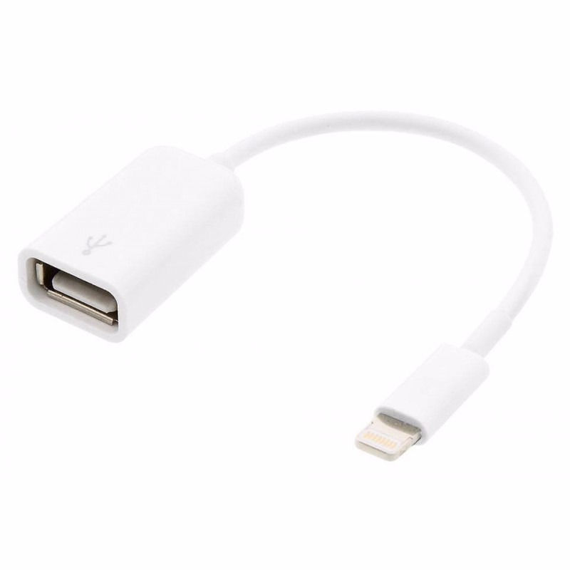 Cabo Conversor OTG 2.0 para Pendrive IPhone e IPad Gold