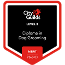 level 3 certificate for dog grooming.png