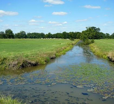 Marais Audubon.jpg