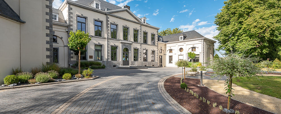 chateau de la paix.jpg
