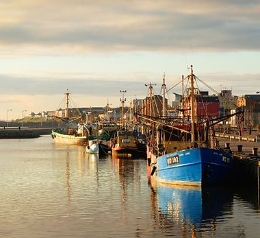 Wexford Harbour.png