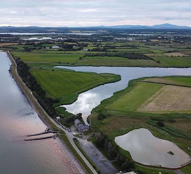 Wexford Wildfowl Reserve.jpg