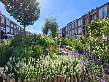 Buurttuin De Groene Zon