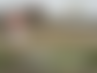 Землі ФГ «Червонодонецьке» пройшли зовнішній контроль якості – 70,6 га офіційно визнано безпечними.