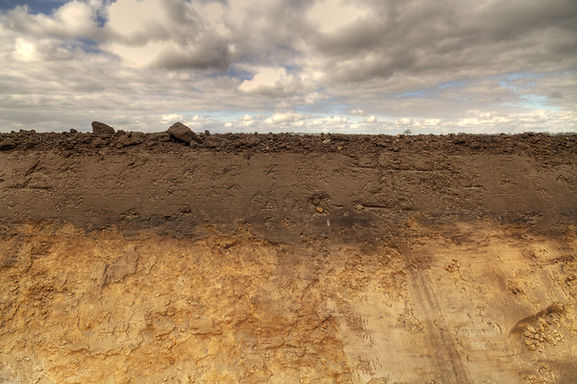 Soil face large.jpeg