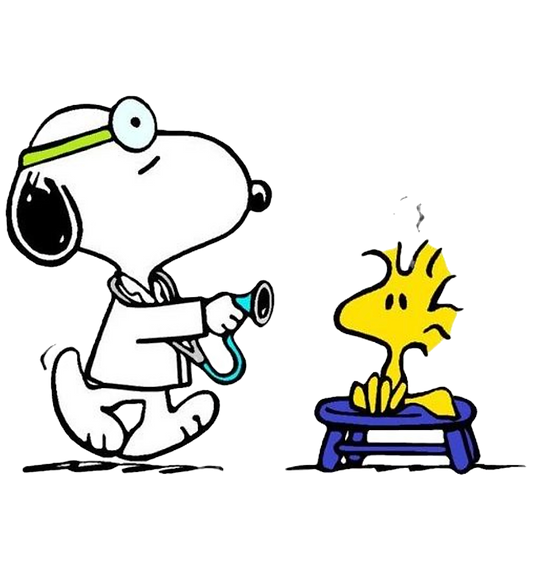 Screenshot 2025-11-06 at 3.49_edited.png