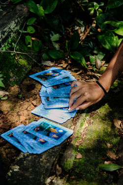 DespertarOceano_©MarinaGoulart-6233