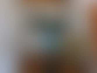 THE TRAINER - Love It Or Hate It