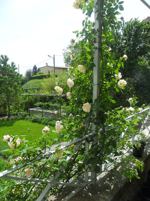 Il giardino di Massimo1