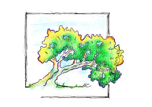 Studio agronomico Massimo Crippa