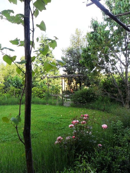 Il giardino di Massimo8