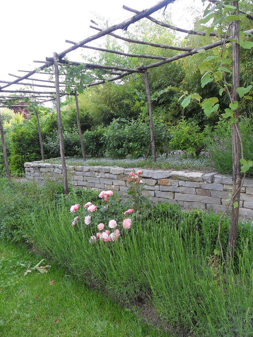 Il giardino di Massimo4