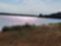 Nacton Shore 2.jpg