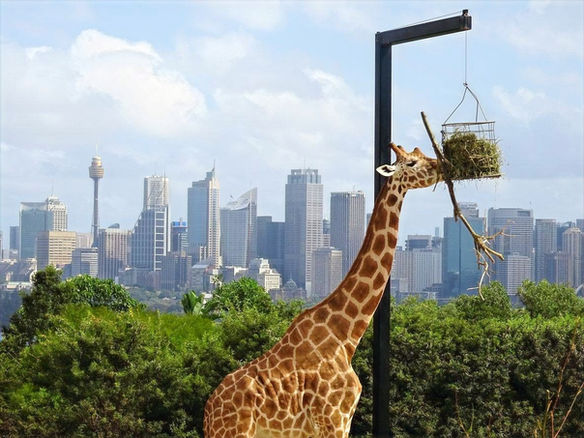 Sydney, Australia