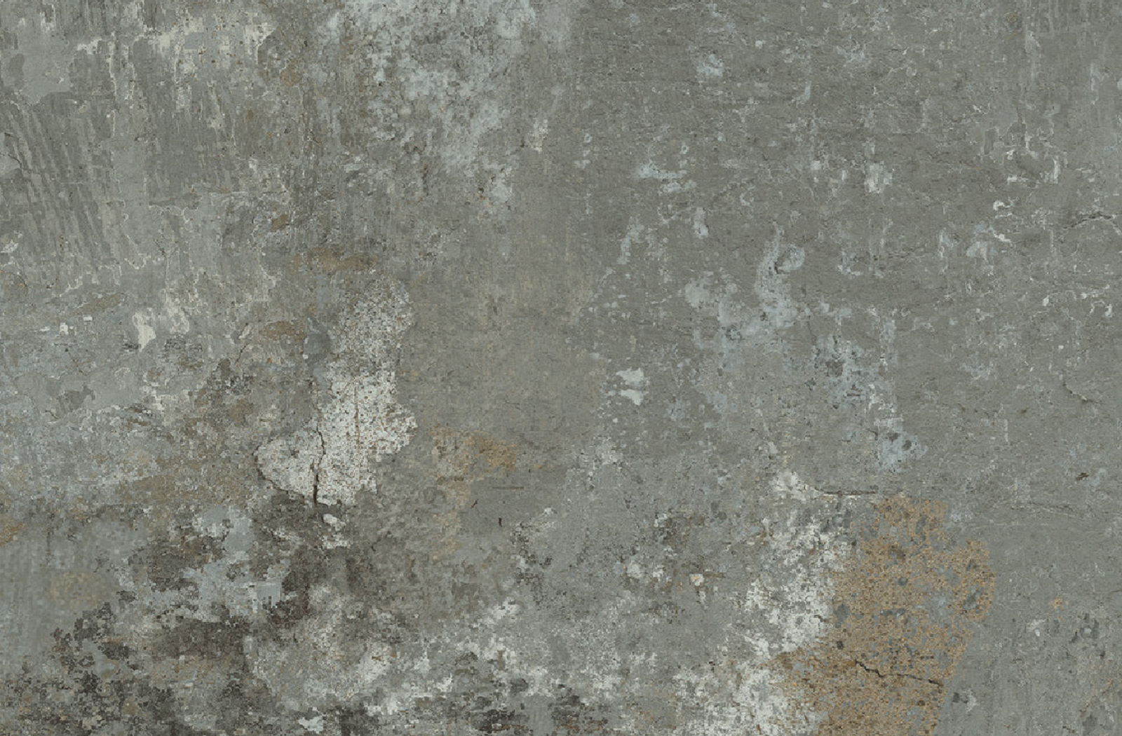 FANAL | GNEIS - Gneis Gris Nplus
