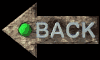 backflas.gif