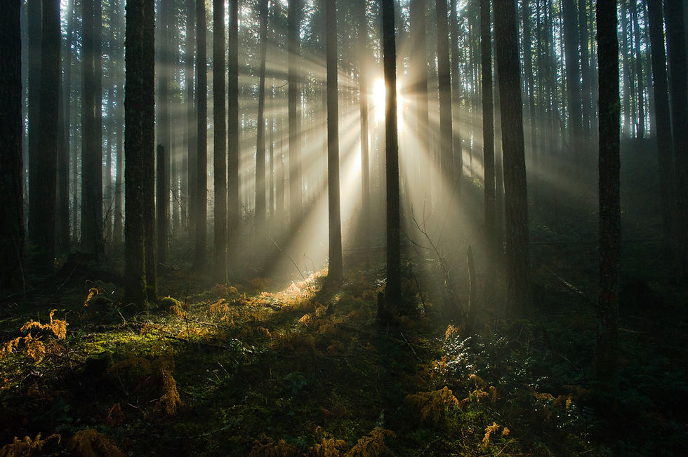 Photo by the Revered Tim Zimmerman. 