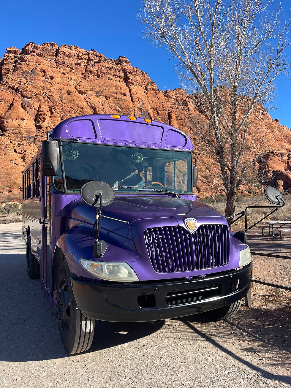 Family Christmas Activity