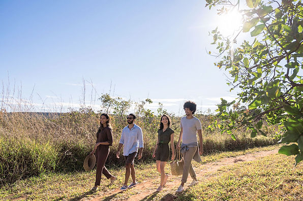 Walk in Nature_edited.jpg