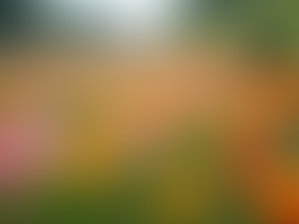 北海道での園芸と季節の美しさ