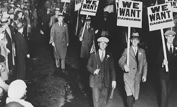 Cannabis prohibition