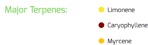 Screenshot (101).png