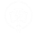 EV.png