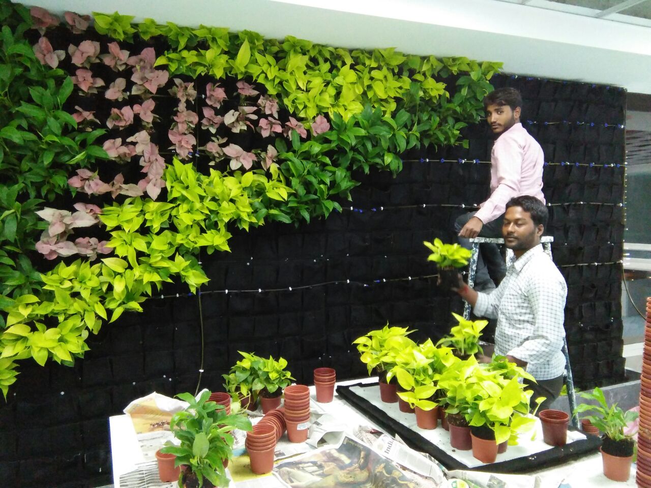 Building A Vertical Pallet Garden Building A Vertical Pallet Garden