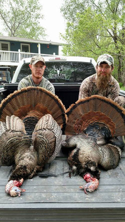 460518128_3368868736754902_8115025635226233811_n