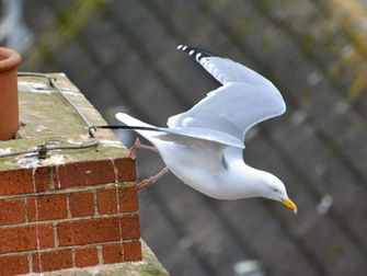 'Who's been sleeping in my bed?' FaB23