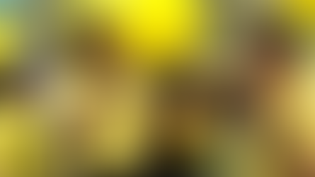 Ramon Bautista, ipinagtanggol si Mar Roxas