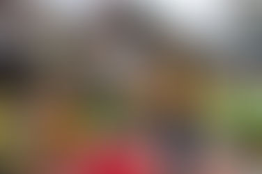 Buong gabinete ni Pnoy, sisibakin ni Mar