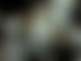 Sala ng ama, si Bongbong ang kumarga