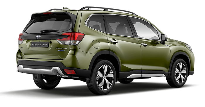 Forester-2 (2) (1).png