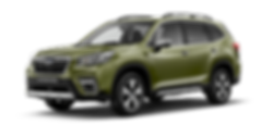 Forester (2) (1).png