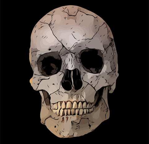 Five Unique Human Species You Might Not Know About