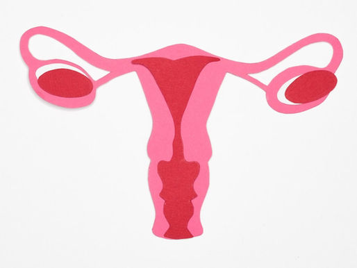 Pink and red paper cutout of a uterus on a white background. The design is simple and stylized, focusing on anatomical shapes.