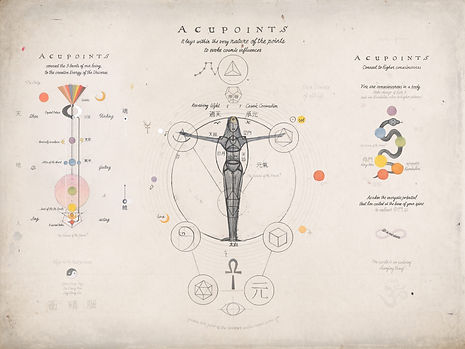 TCM Fundamentals.jpg