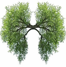 Respiratory Health
