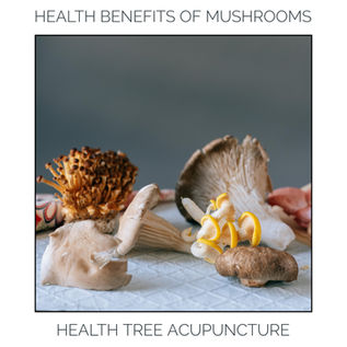 Health Benefits of Mushrooms Through the Lens of Traditional Chinese Medicine