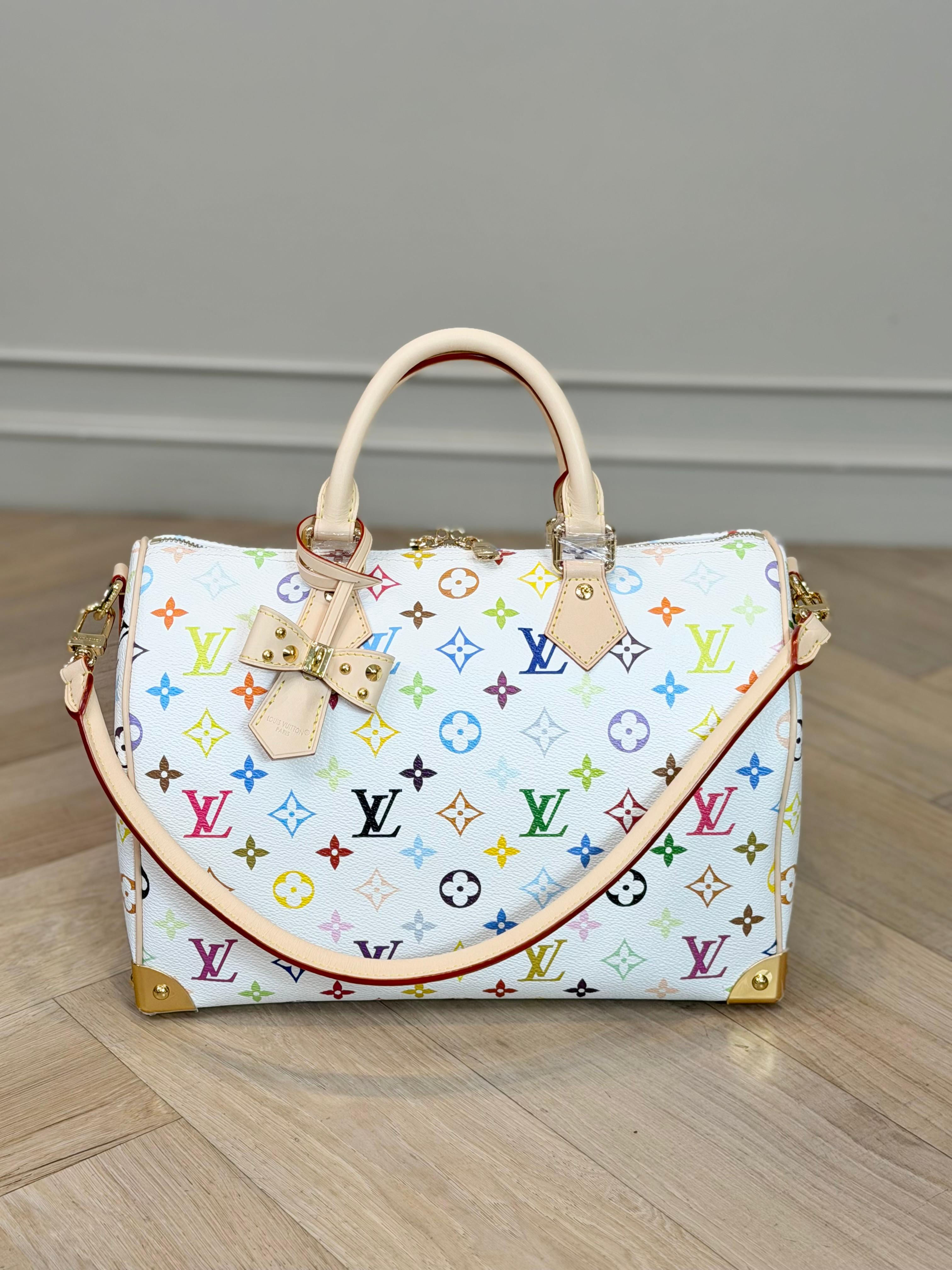Louis Vuitton Soft Speedy Murakami Multicolour