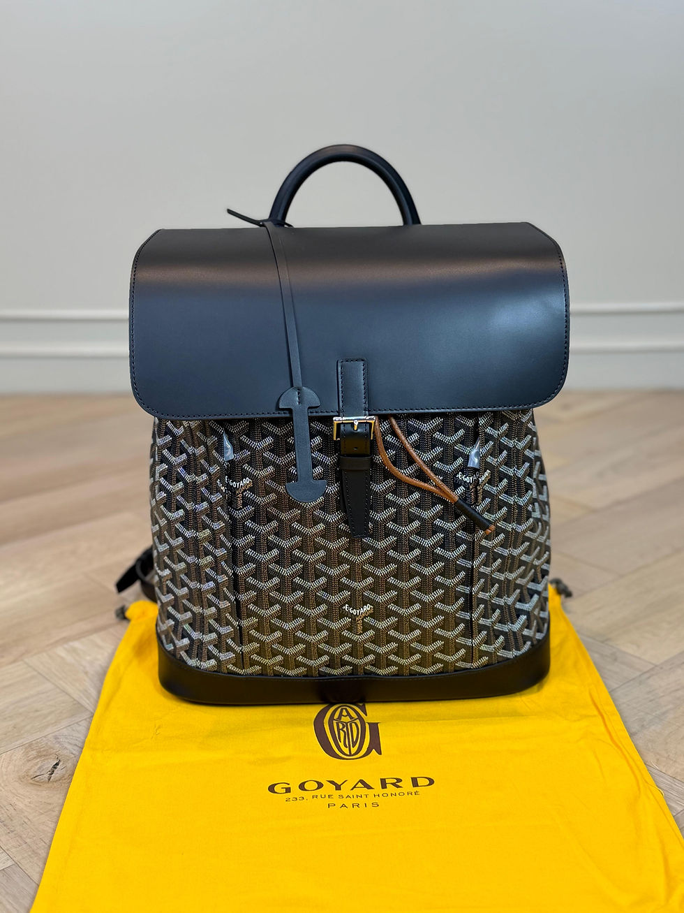 Thumbnail: Goyard Large Backpack Alpin