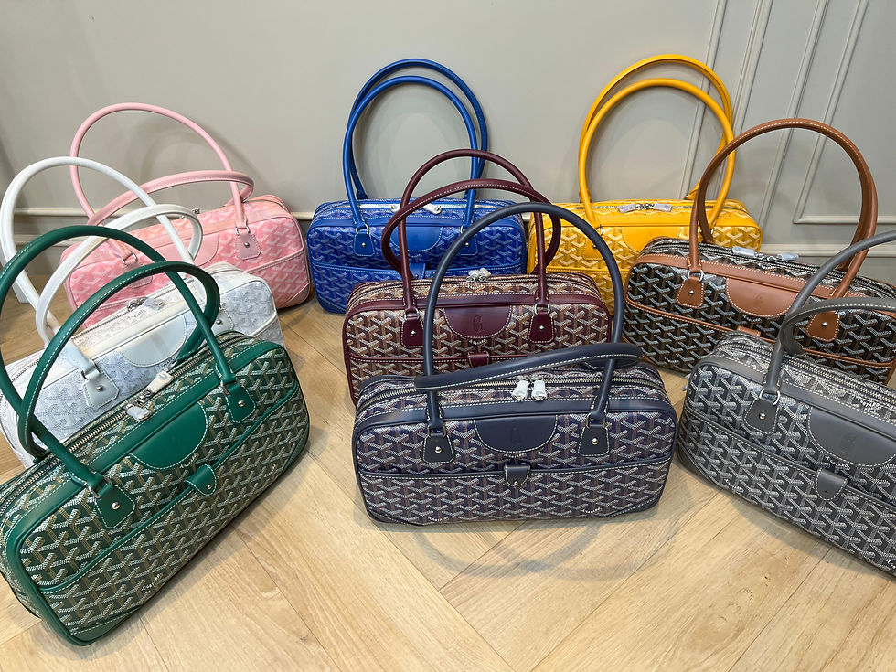 Goyard Saint Martin Bag